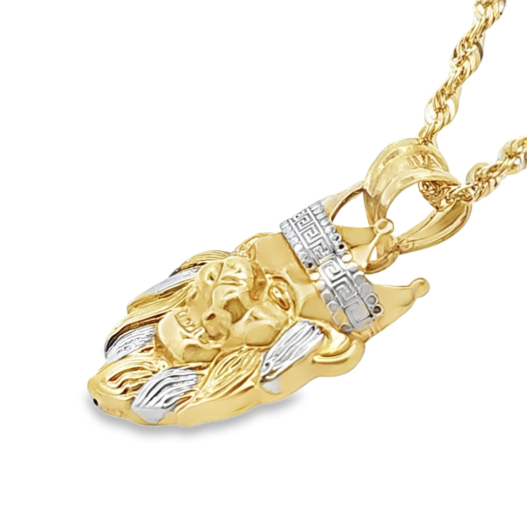 Majestic Lion Pendant with Rope Chain 20" 10K Yellow Gold